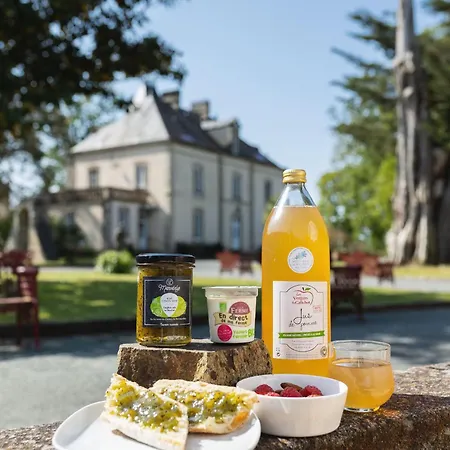 Chateau De La Richerie - Proche Puy Du Fou מלון