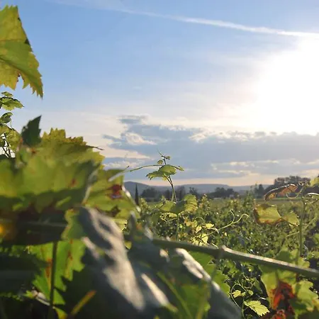 מלון Chateau De La Richerie - Proche Puy Du Fou