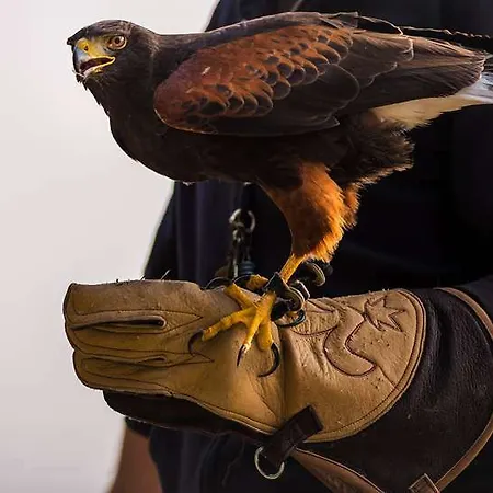 מלון Chateau De La Richerie - Proche Puy Du Fou Beaurepaire (Vendee)