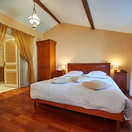 מלון Chateau De La Richerie - Proche Puy Du Fou 2*