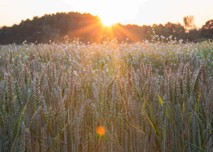 Chateau De La Richerie - Proche Puy Du Fou